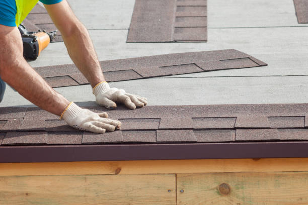 Best Roof Moss and Algae Removal  in Orion, IL